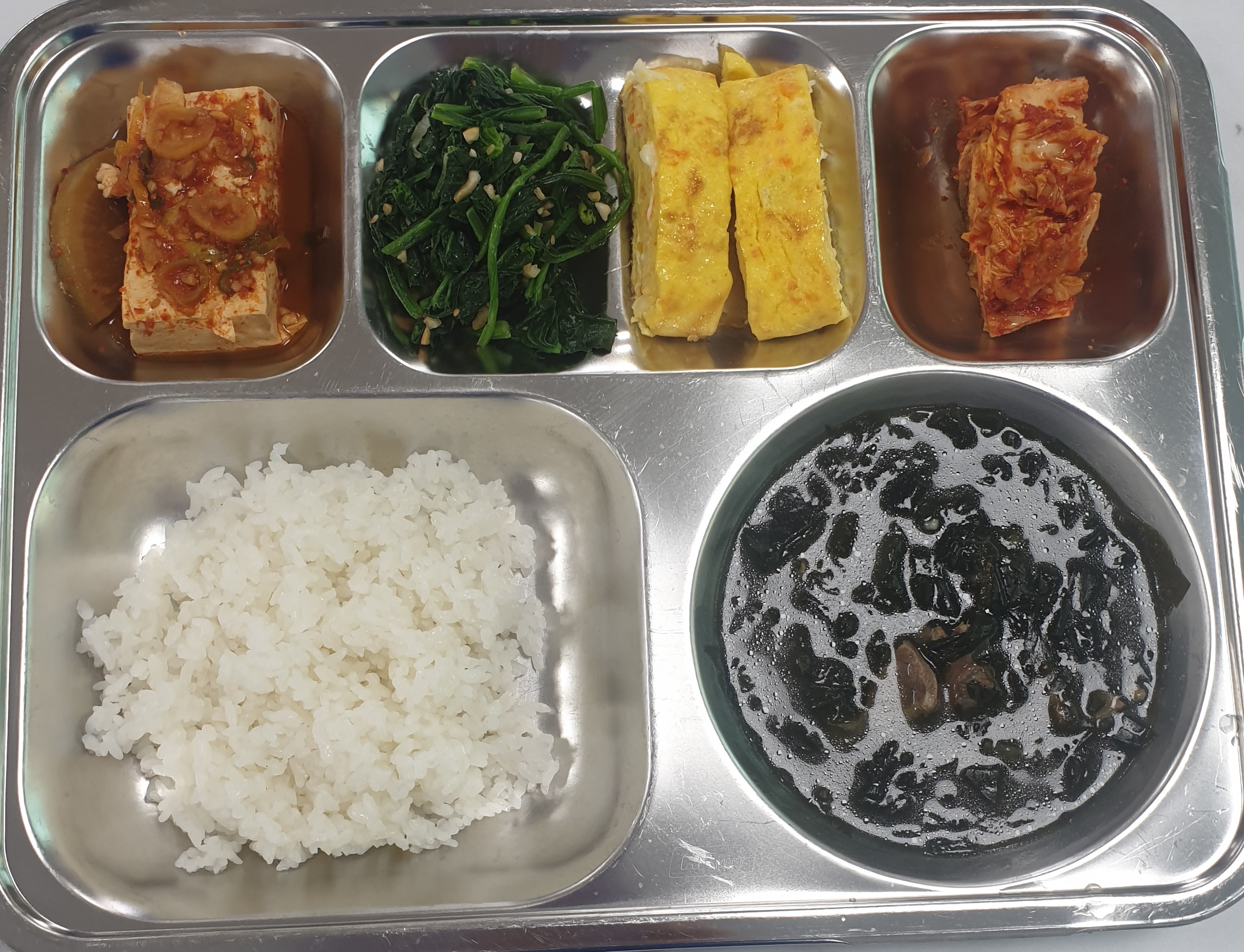 5월 11일 사진